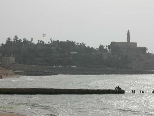 jaffa-view.jpg